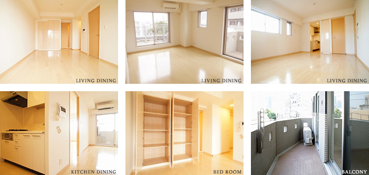 �G�X�e�B���]���k�V�h�F���f�����[��1