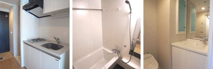 �G�X�e�B���]���V����F�ݔ�1